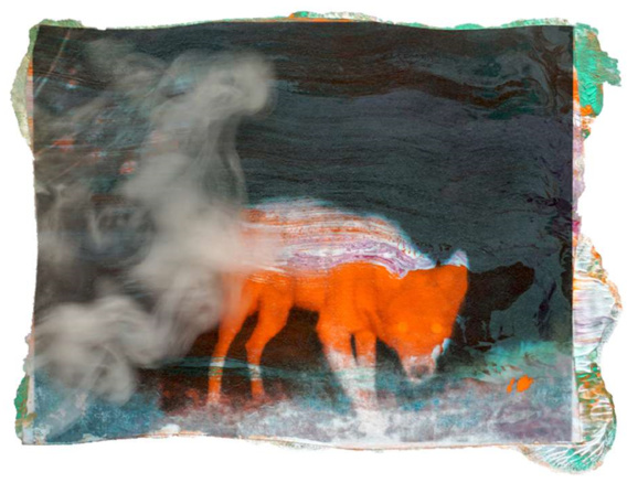 A Secret Life of Animals #51 2019 Tirage numérique, édition limitée Dimensions : 50 x 65 cm
