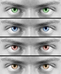 CC / "Color Eyes" / Salvatore Vuono
