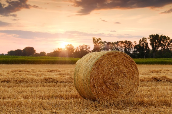 Agriculteurs : la Commission européenne recule sur les pesticides