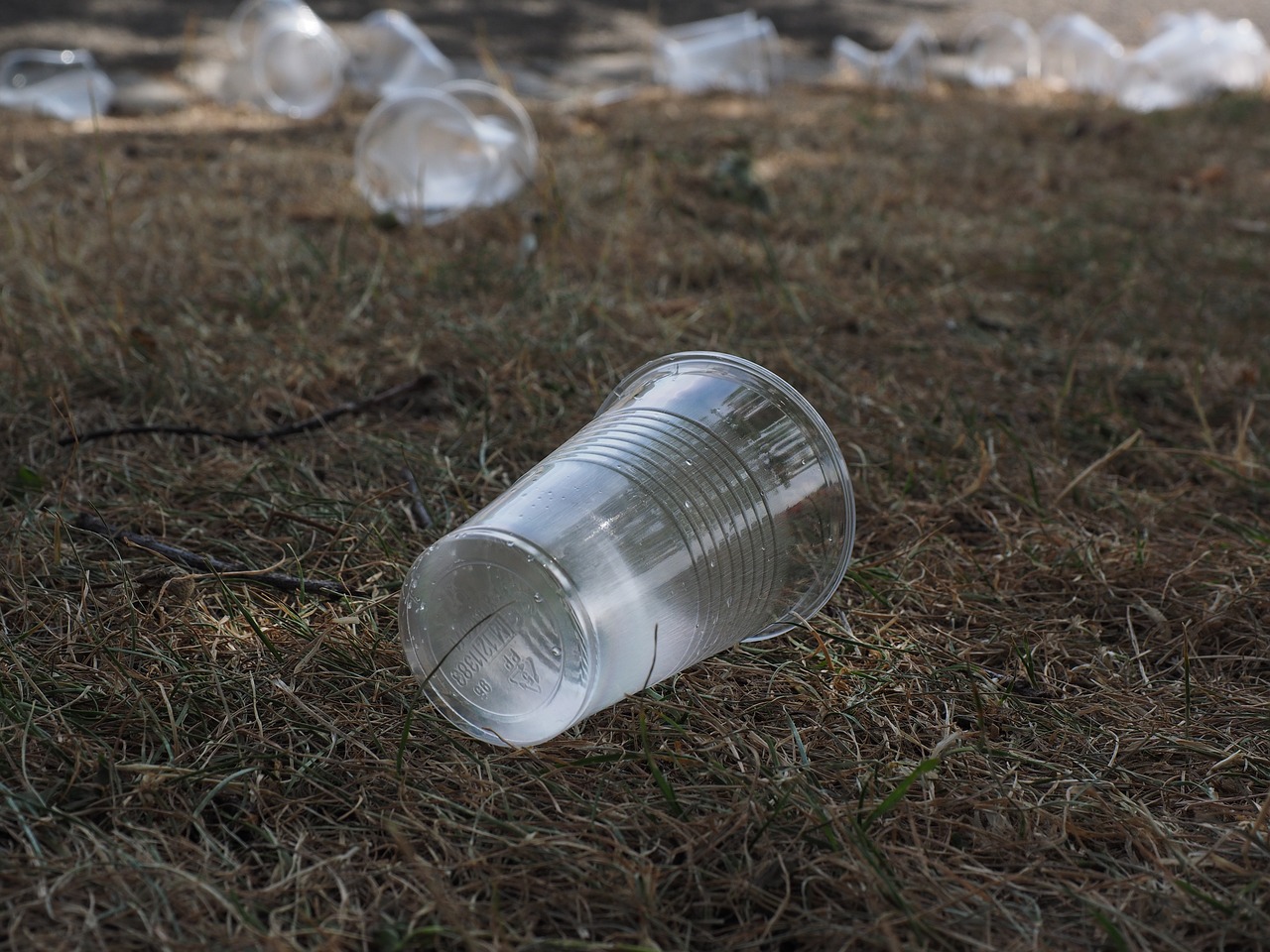 L'Assemblée vote l'interdiction des contenants et couverts en plastique
