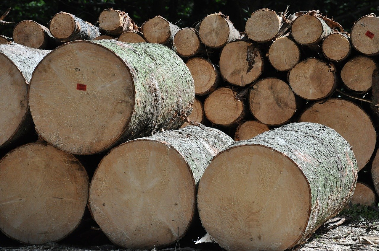 L'industrie chinoise trop friande du bois français
