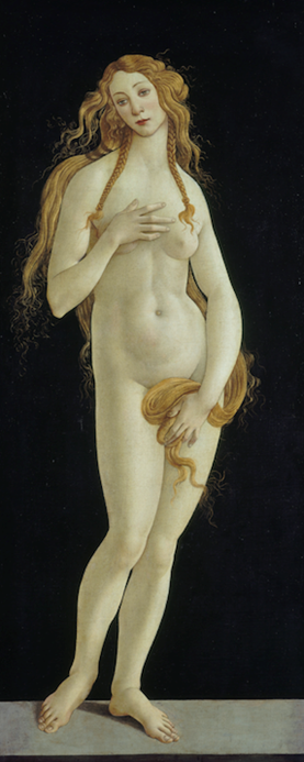 Venus pudica, vers 1485-1490, huile sur toile, Berlin, Staatliche Museen zu Berlin, Gemäldegalerie, Photo © BPK, Berlin, Dist.RMN-Grand Palais / Jörg P. Anders