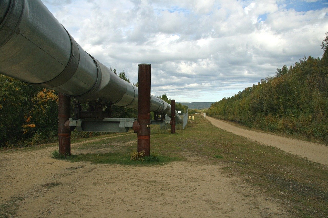 Coupure du gaz russe : une option « crédible » selon le gouvernement