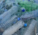 https://www.journaldeleconomie.fr/Le-debat-sur-la-consigne-des-bouteilles-plastique-est-relance_a12028.html
