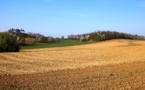 La PAC va diminuer pour les agriculteurs : colère en France