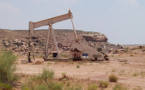 Sonatrach annonce la découverte d'une immense champs de pétrole en Algérie