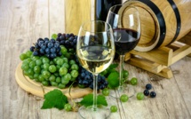 Le plan de prévention contre l’alcoolisme financé par les filières vins, spiritueux et bières