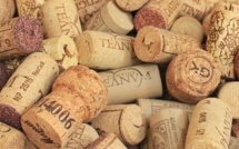 Quelle santé pour le secteur viticole français ?