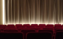 Conseil d'État : les théâtres et les salles de cinéma resteront fermés