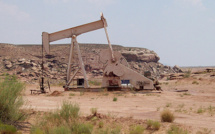 Sonatrach annonce la découverte d'une immense champs de pétrole en Algérie