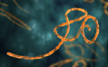 Ebola : le Koweït donne cinq millions de dollars à l’OMS