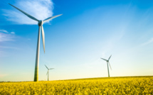 Energie renouvelable : Bruxelles valide les aides d’Etat allemandes
