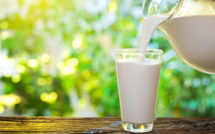 Europe : fin des quotas laitiers le 1er avril