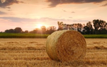 Agriculteurs : la Commission européenne recule sur les pesticides