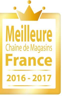 Quelles sont les meilleures chaînes de magasins en 2016-2017 ?