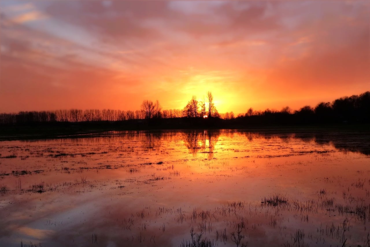 Les inondations du printemps dernier ont coûté cher