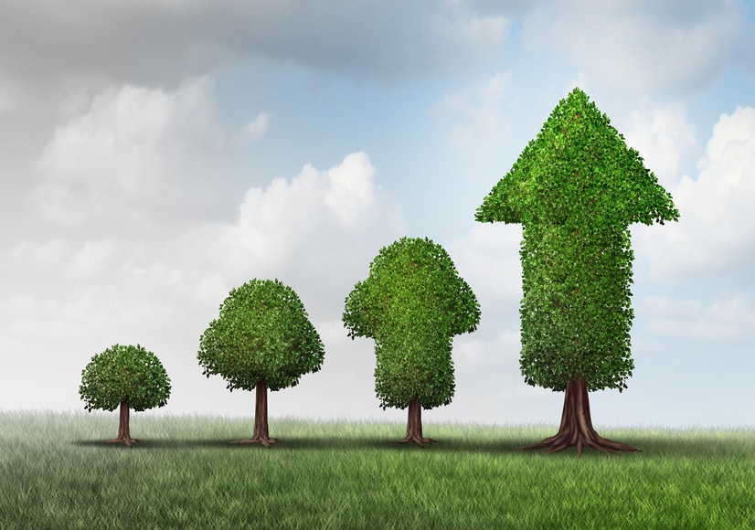 Entreprise familiale : Succession et gouvernance