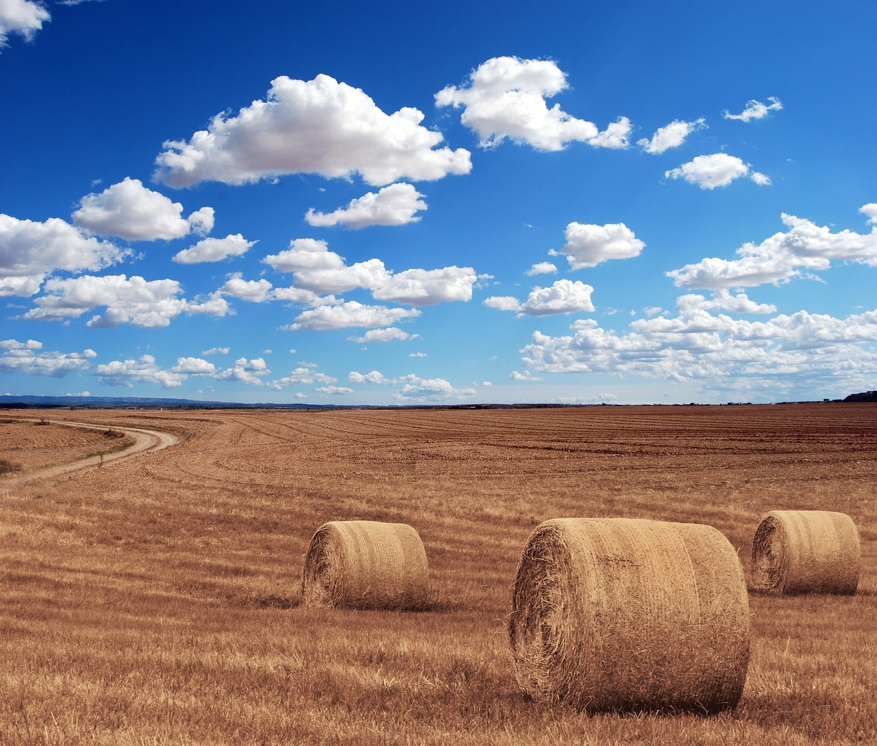 Le revenu moyen des agriculteurs a légèrement progressé en 2016
