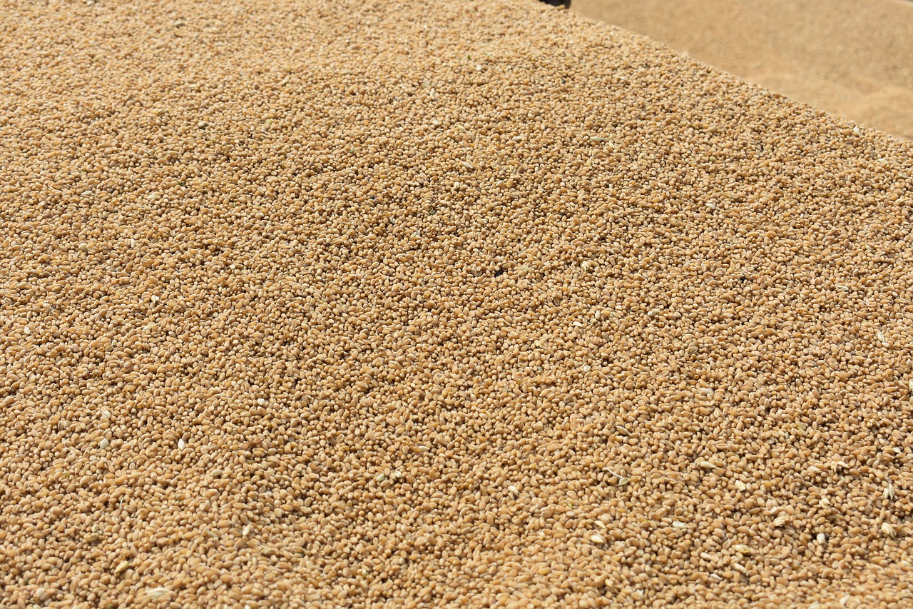 Feu vert européen pour l'acquisition de Monsanto par Bayer