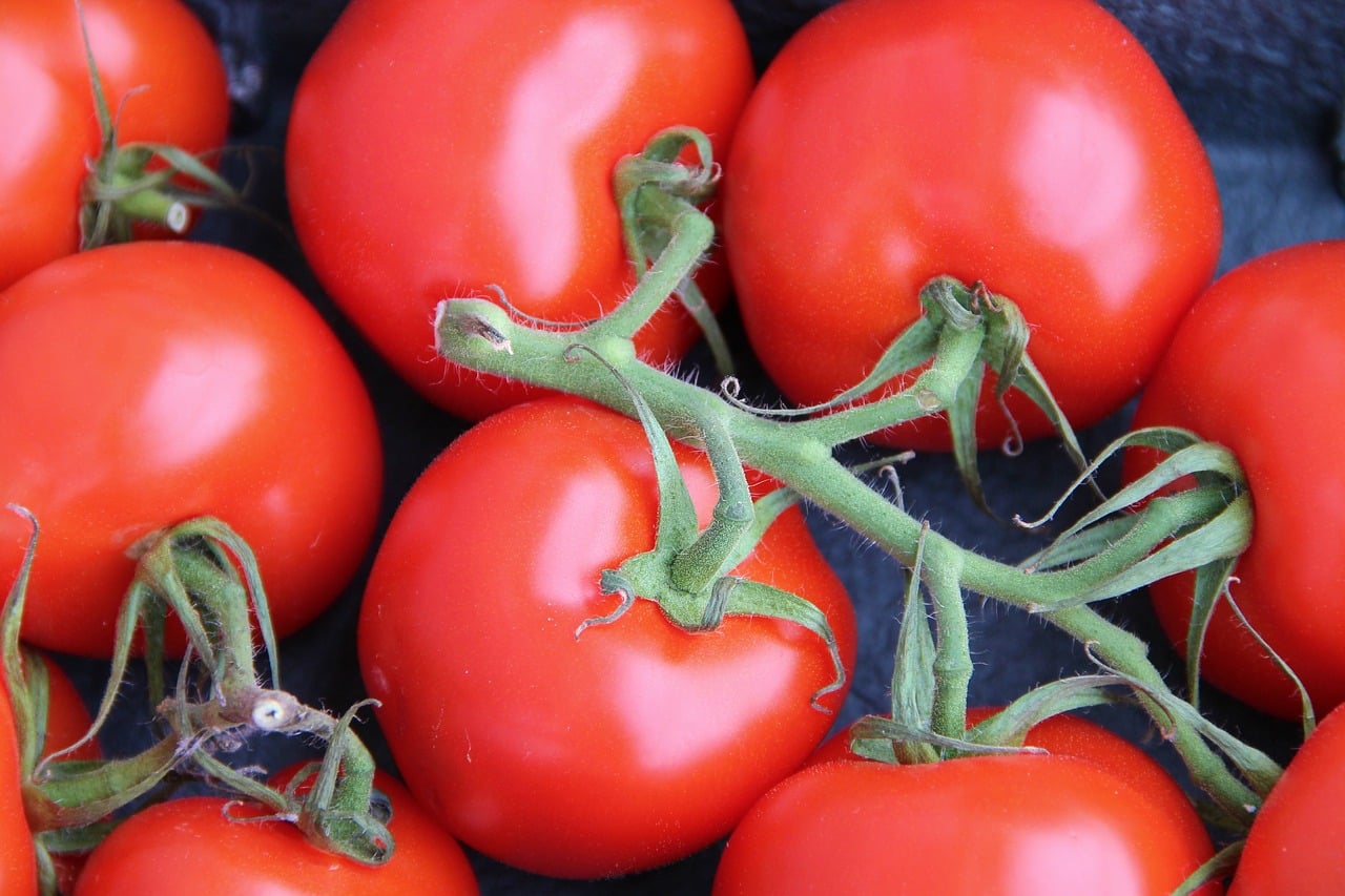 1,1 milliard pour aider l'agriculture bio en France
