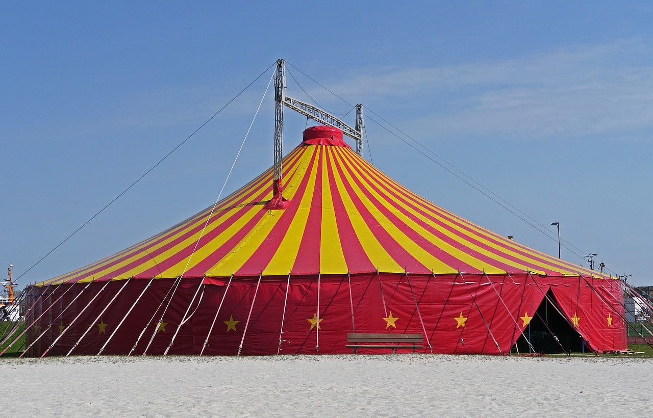 Le cirque Pinder en liquidation judiciaire