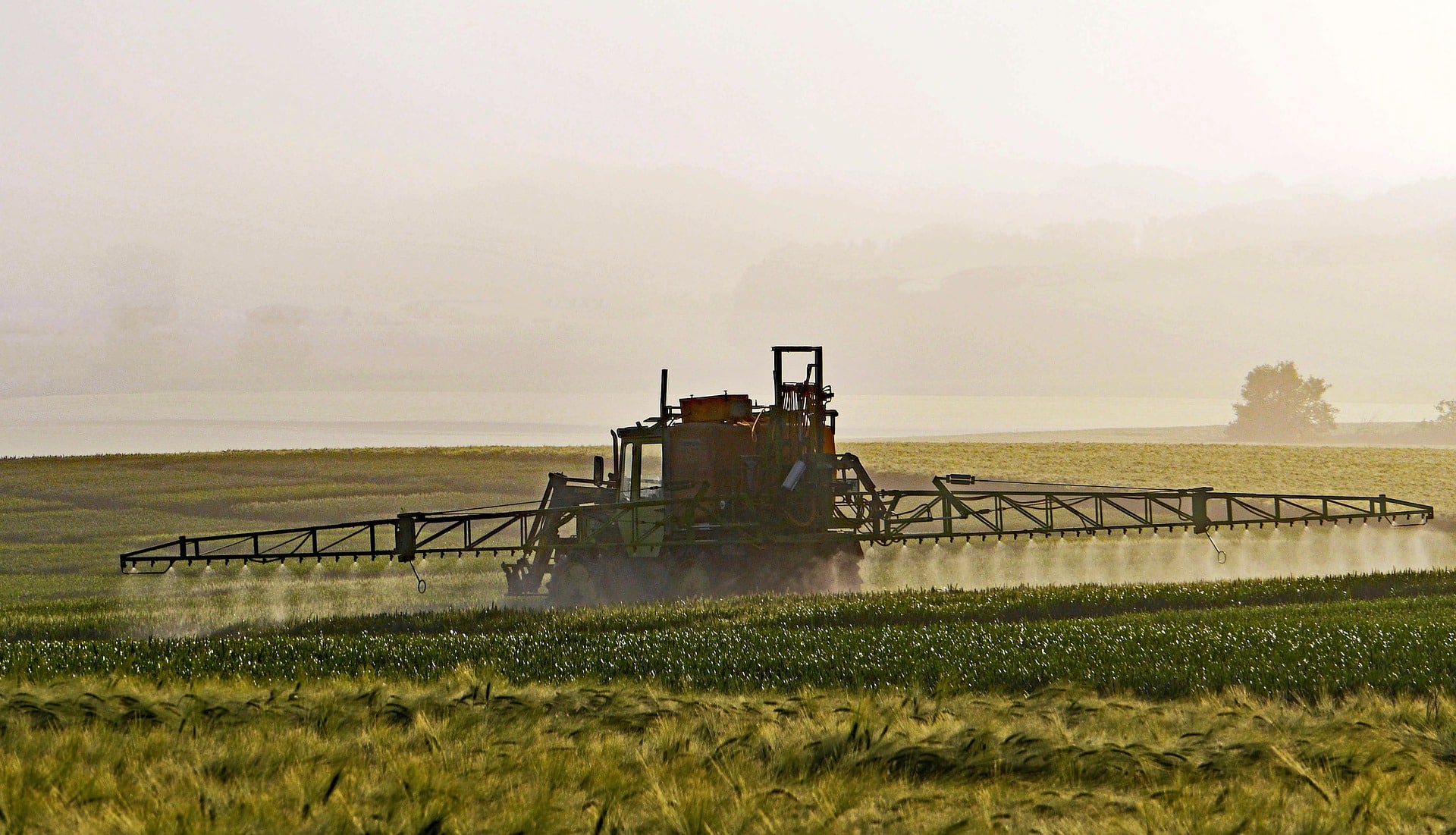 Bayer : l'après-glyphosate va lui coûter 5 milliards d'euros