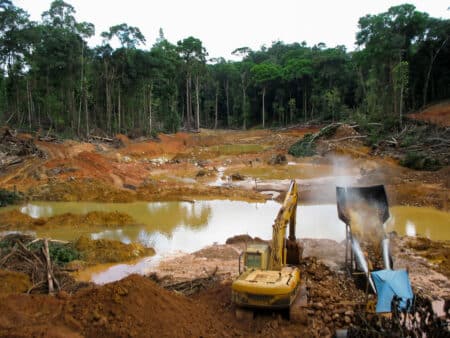 707 entreprises accusées de ne pas donner assez d’informations sur leurs rôles en matière de climat