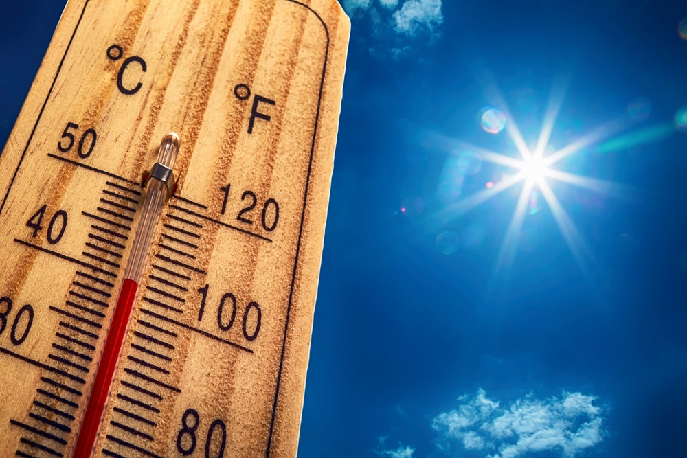 Quels professionnels profitent de la canicule ?