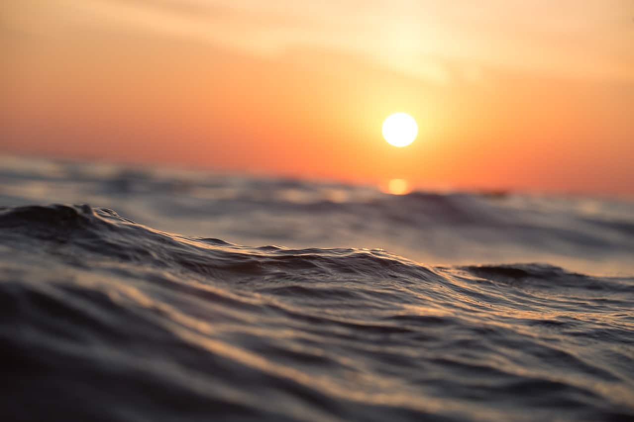 Sécheresse, canicule : les assureurs font les comptes