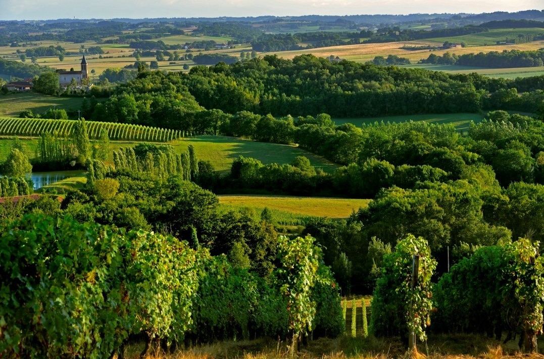 Stratégie d’appellation : Madiran et Pacherenc, des outsiders magnifiques