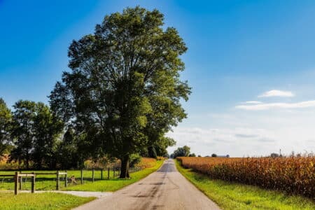 Tereos, un acteur mondial de l’agro-alimentaire en phase avec la société civile