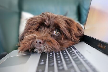 Télétravail : chère pièce en plus