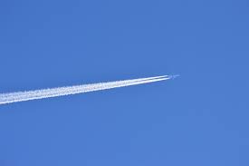 Polo and Pan(atellas ?)