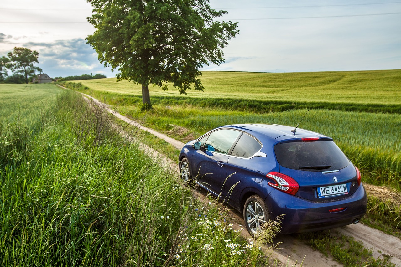 Le gouvernement voudrait relocaliser la production de la Peugeot 208 en France