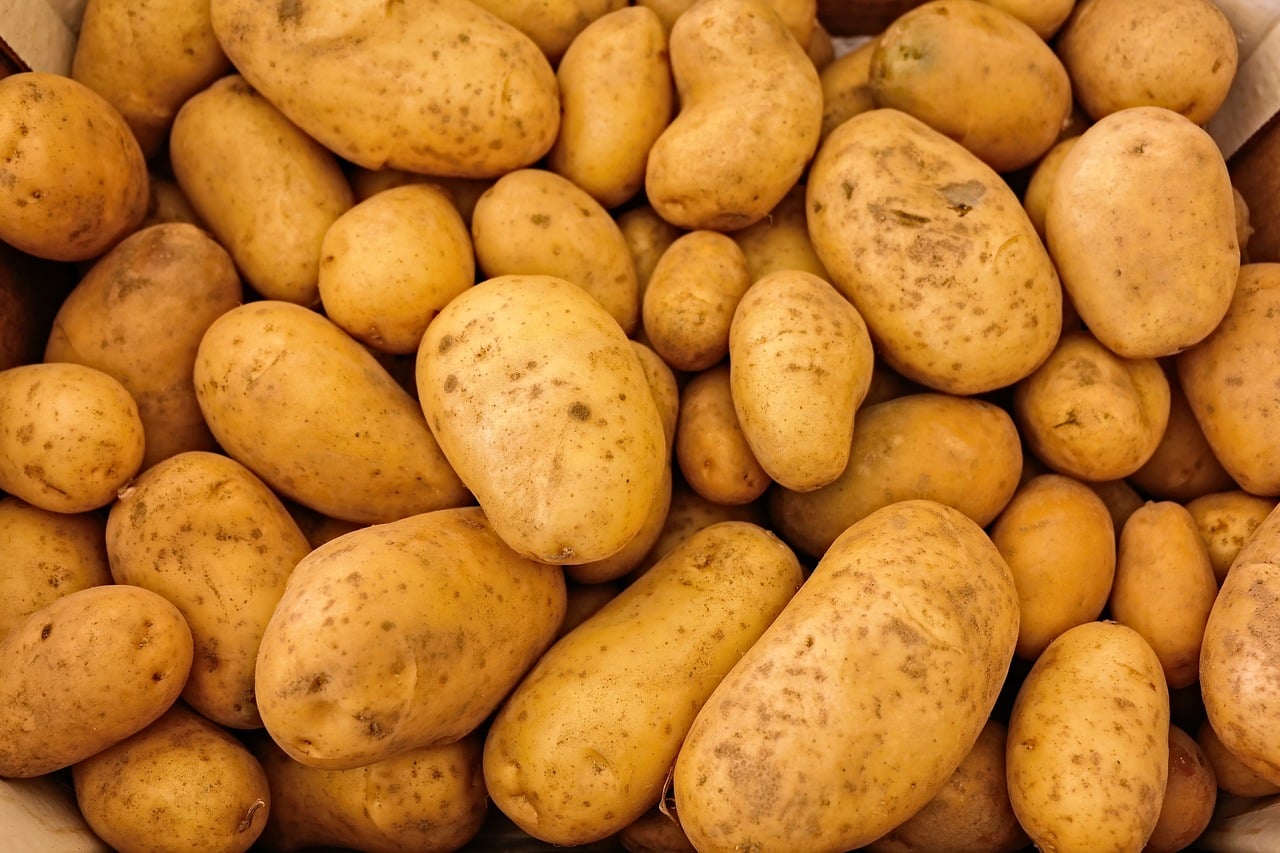 La pomme de terre toujours plus chère, et ça ne va pas s'arranger