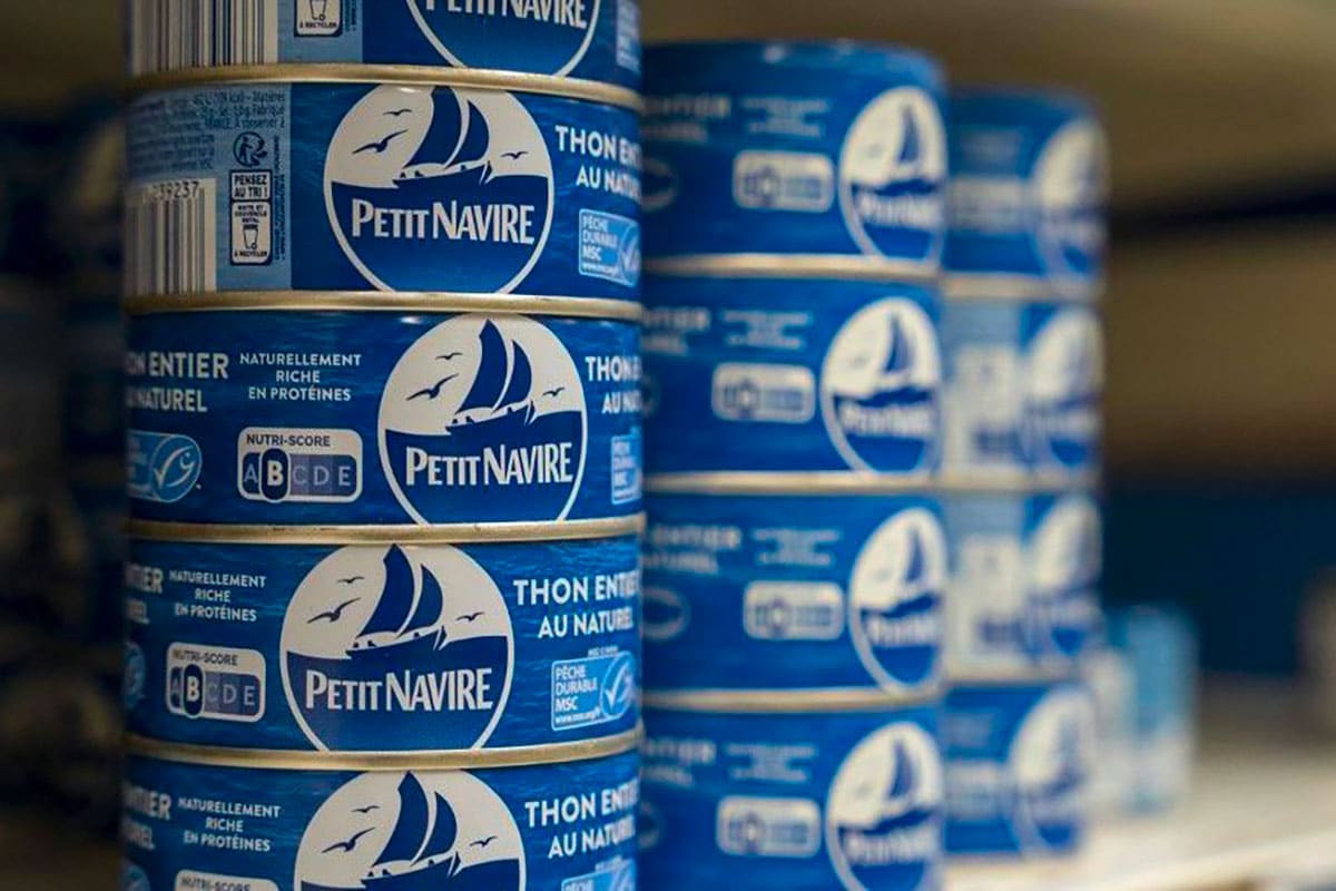 Thon Contamine Au Mercure Deux Ong Alertent Sur Un Danger Cache