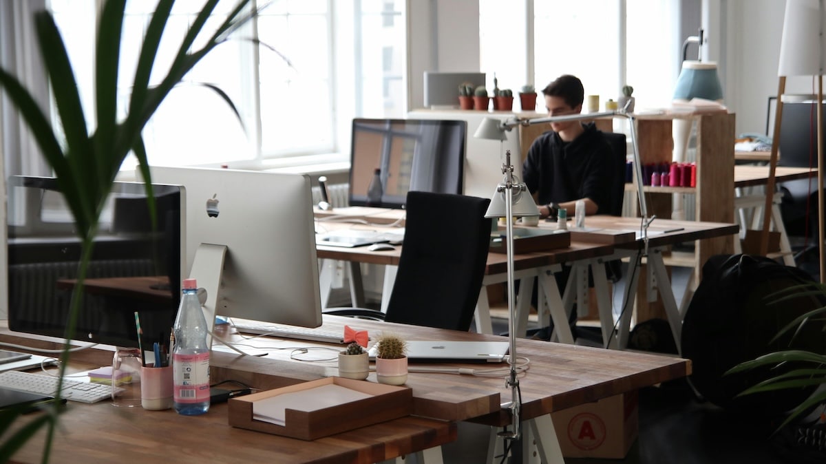 faillites, entreprise, gouvernement, 2025, Allianz, dangers