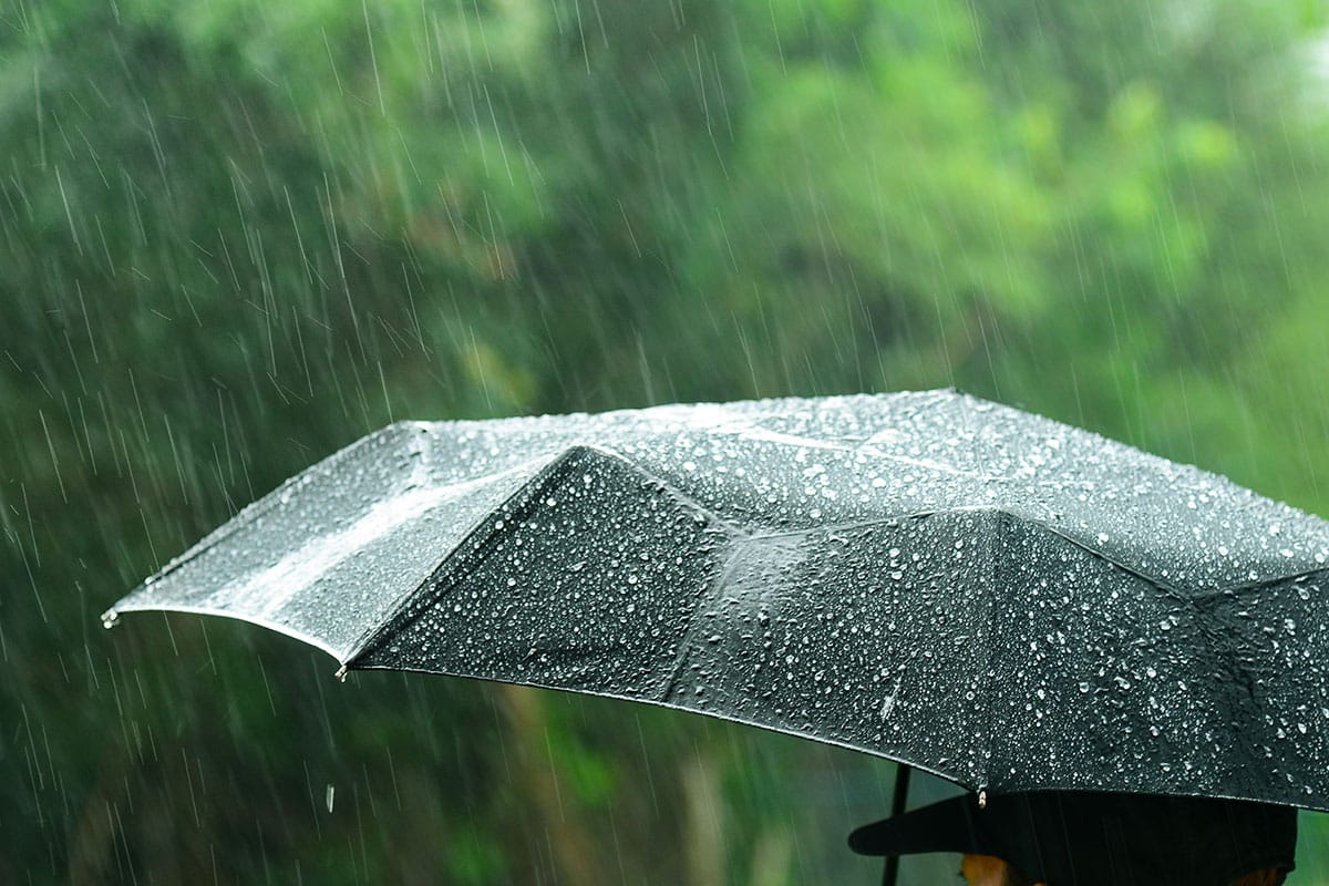Le retour de la pluie sur toute la France : préparez vos parapluies