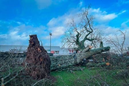 La tempête Olivier inquiète l'Europe : quels effets pour la France ?