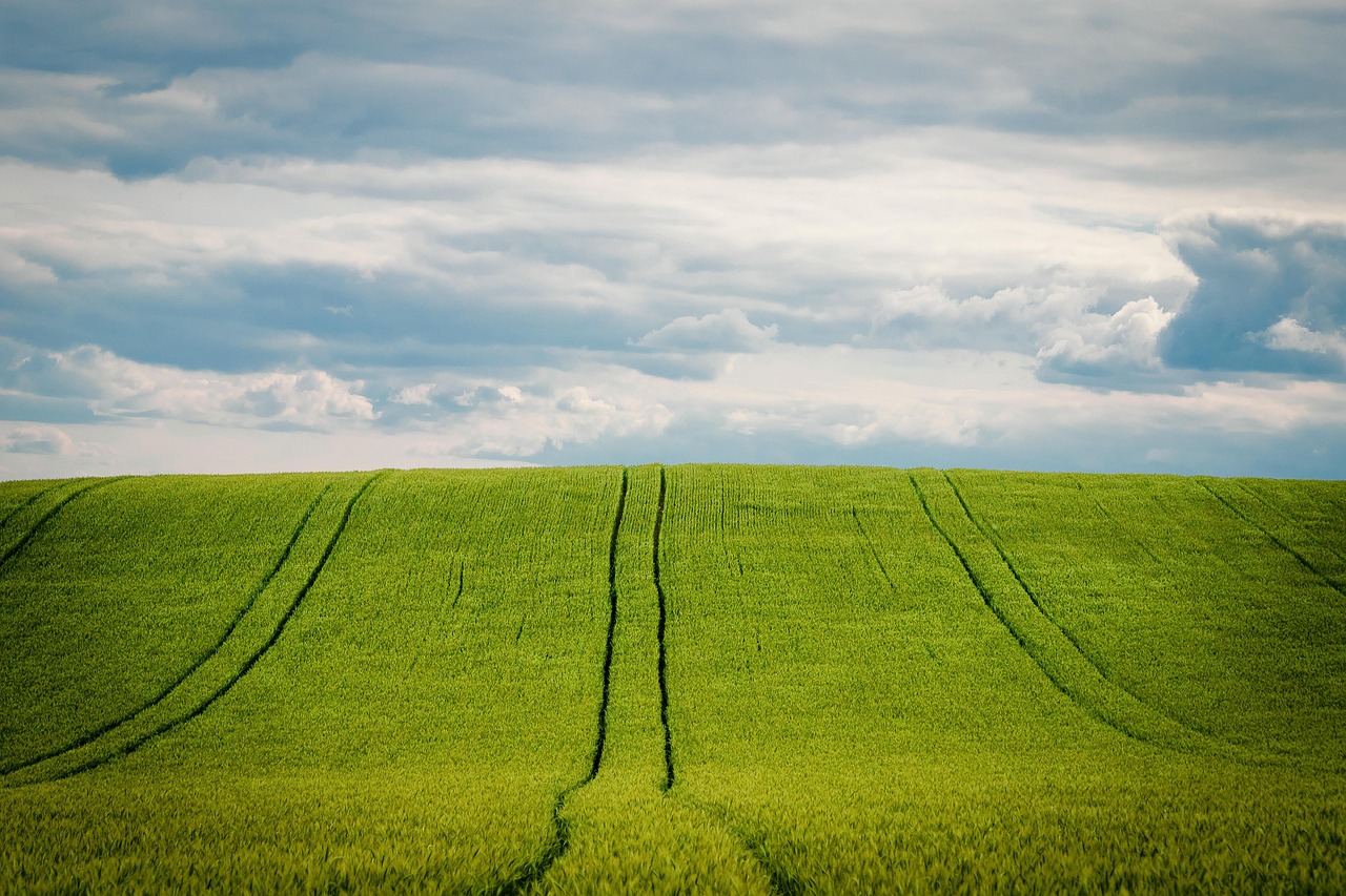 Agroalimentaire Ruralité Artcher
