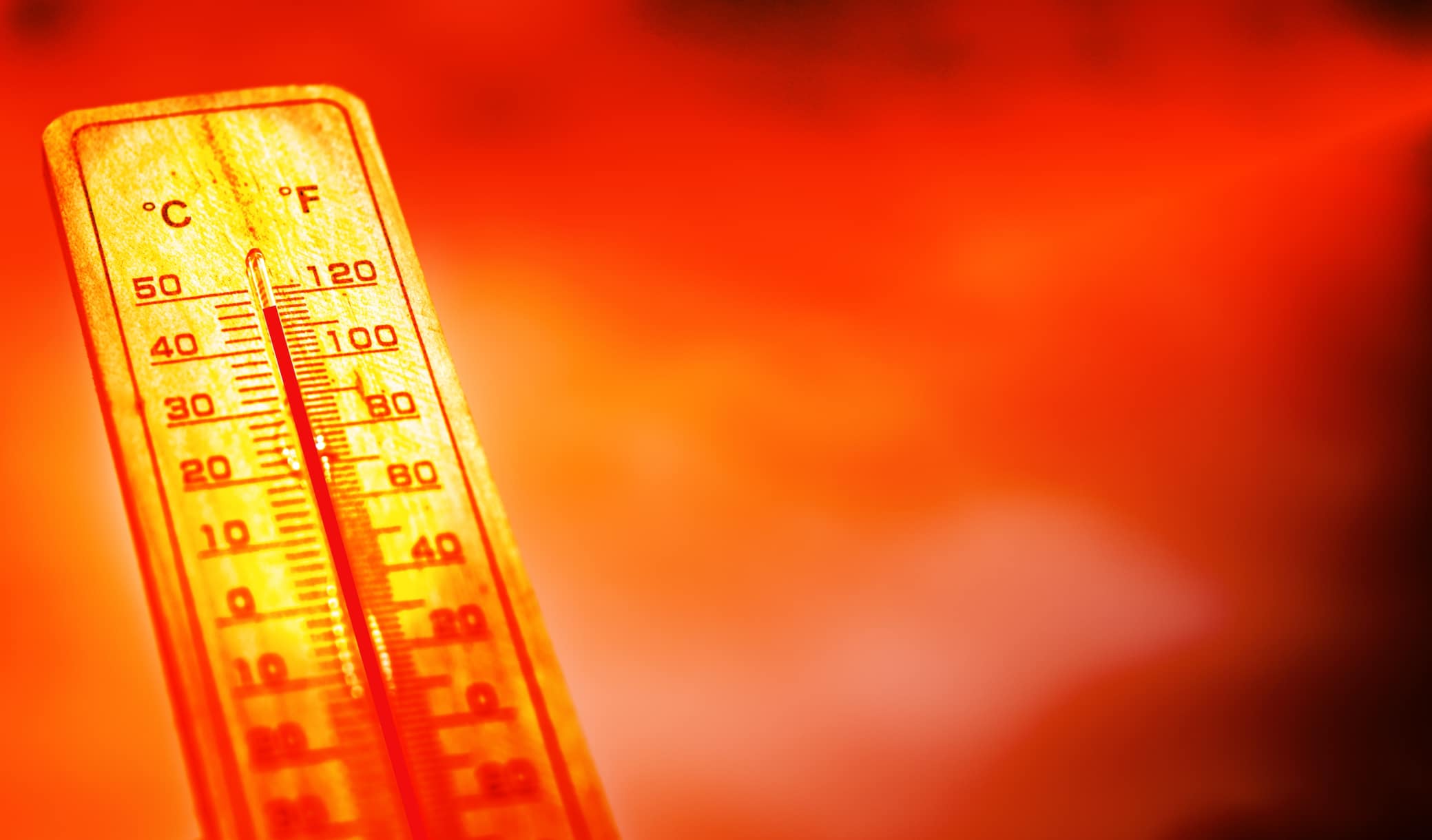 Alerte canicule : l'été 2025 s'annonce "plus chaud que la normale"