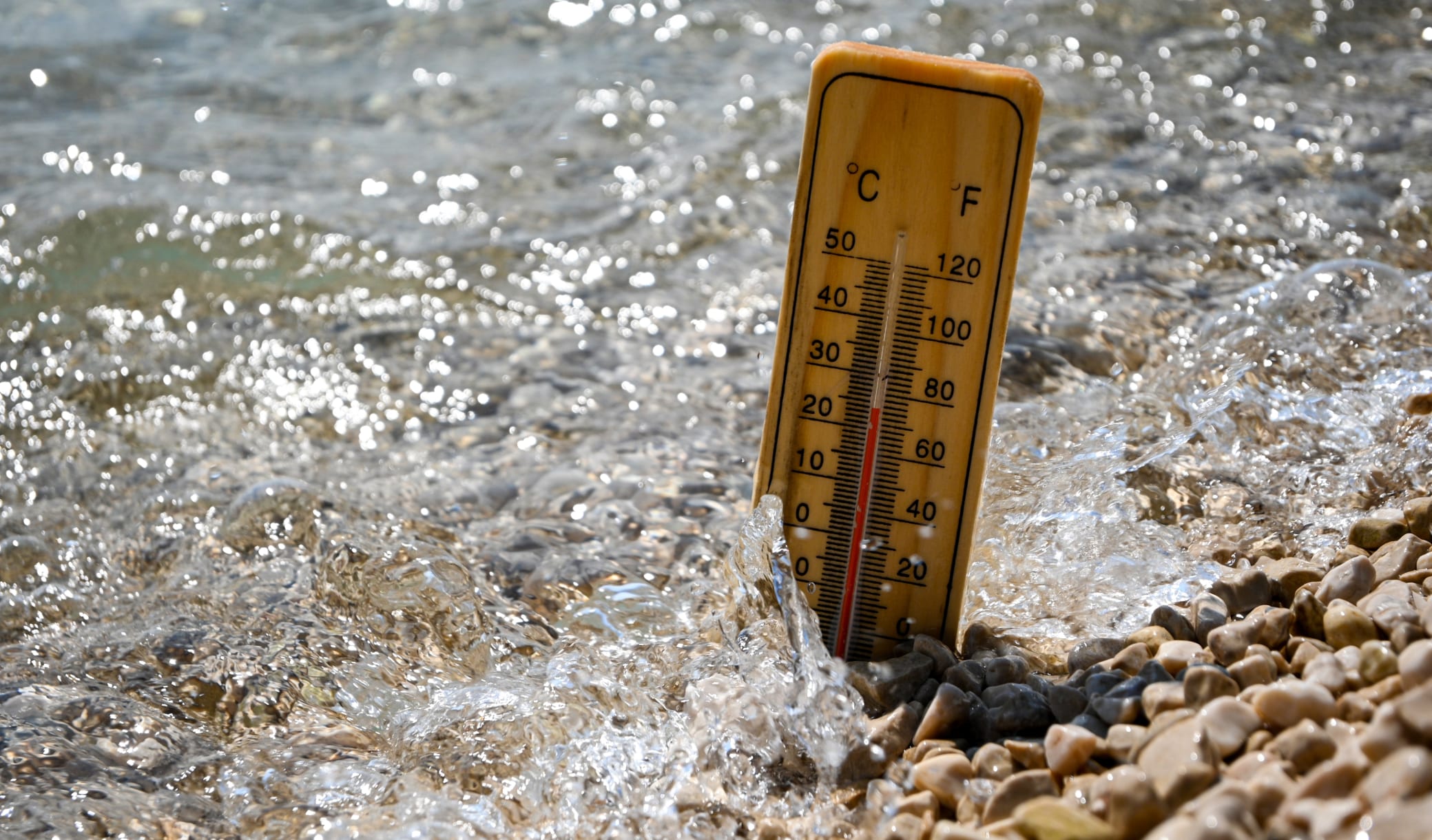 Alerte canicule : les températures vont grimper dès vendredi