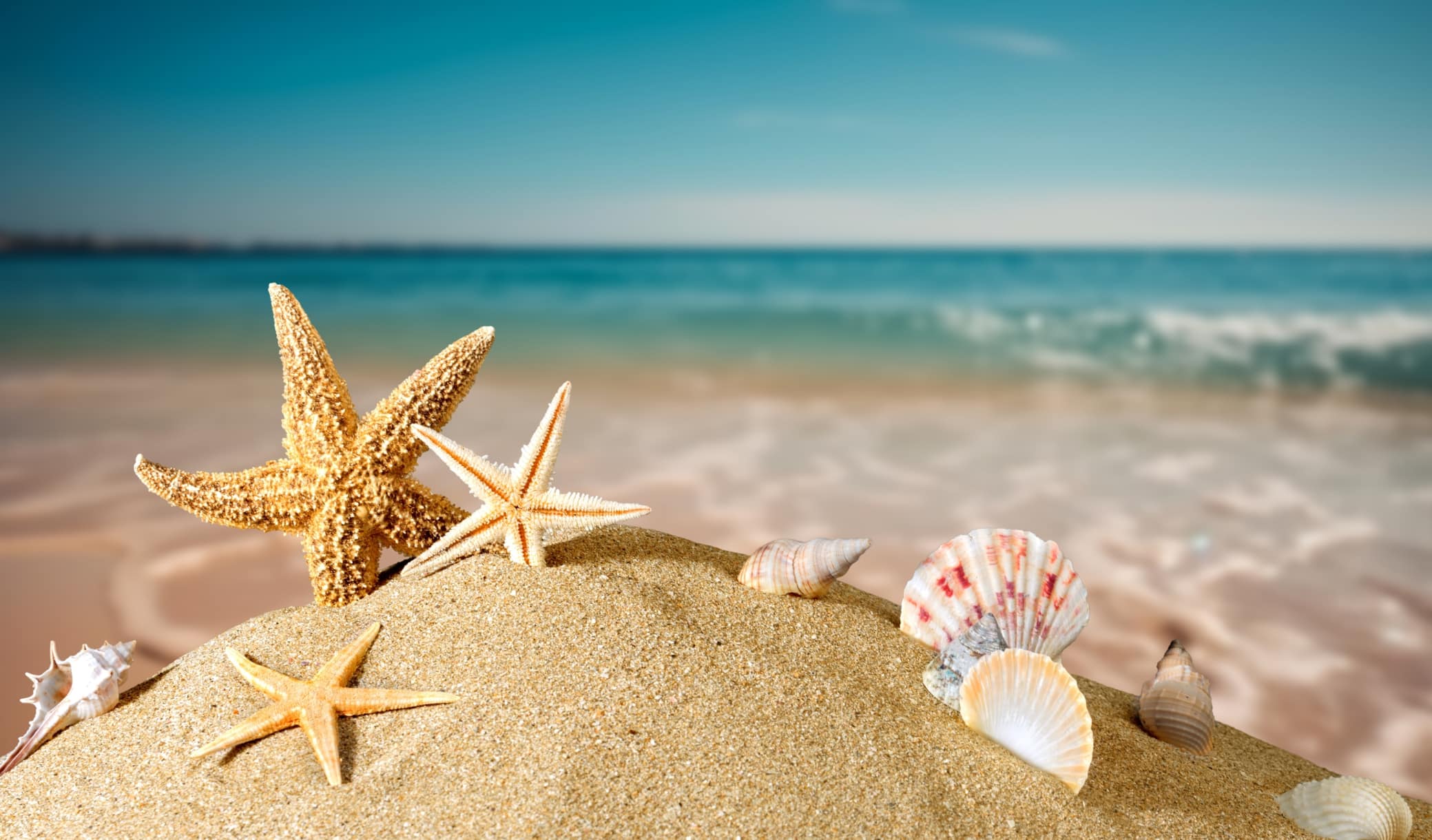 Tout le monde le fait à la plage mais c'est passible d'une amende de 150 000 euros