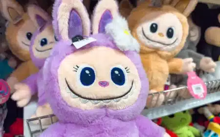 La “Labubu Mania” vire au chaos : un magasin mis à sac