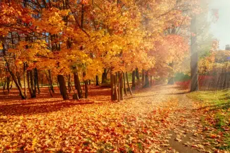 Fin brutale de la canicule : un changement météo qui inquiète déjà