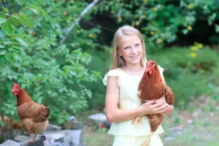 Elle a 10 ans, vend des poulets et gagne 2 000 $: la banque lui confisque tout