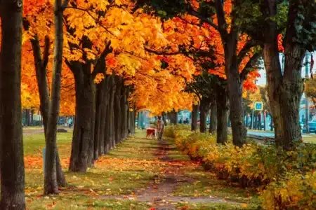 Une semaine presque parfaite : le retour du soleil… mais attention à cette petite surprise météo