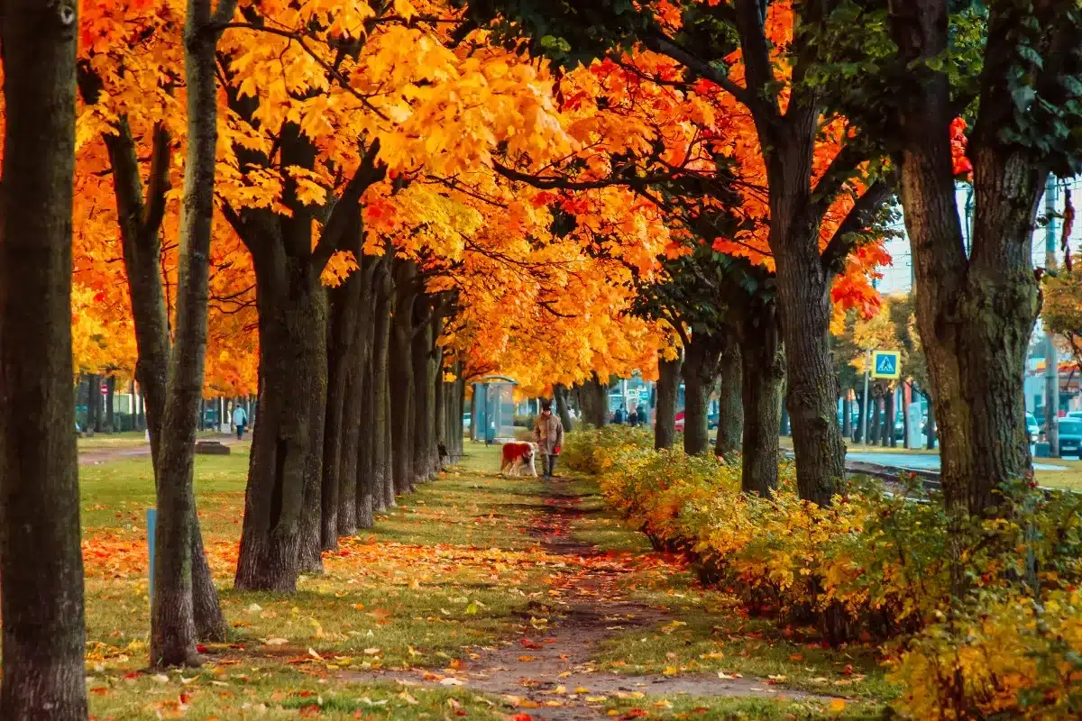 Une semaine presque parfaite : le retour du soleil… mais attention à cette petite surprise météo