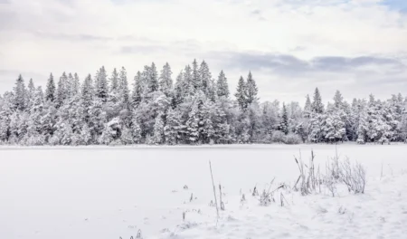 Une chute brutale des températures va surprendre des millions de Français : qui doit se préparer à la neige ?