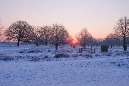 Un hiver avant l’heure : la neige s’invite en plaine plus tôt que prévu cette semaine
